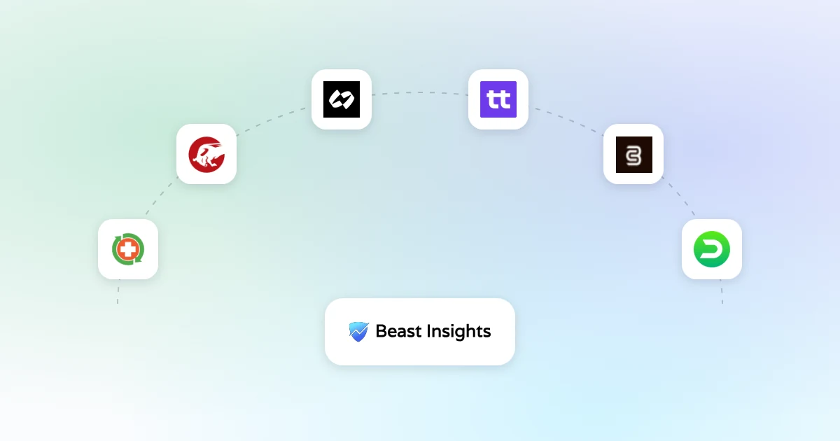 Beast Insights among the best ChargebackHelp alternatives